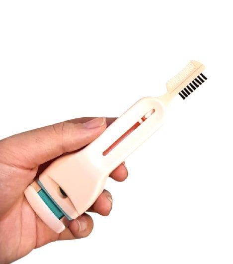 فرمژه مالیان با معرفی دقیق ویژگی‌ها و کاربرد در گروه فرمژه؛ نمای شماره 2