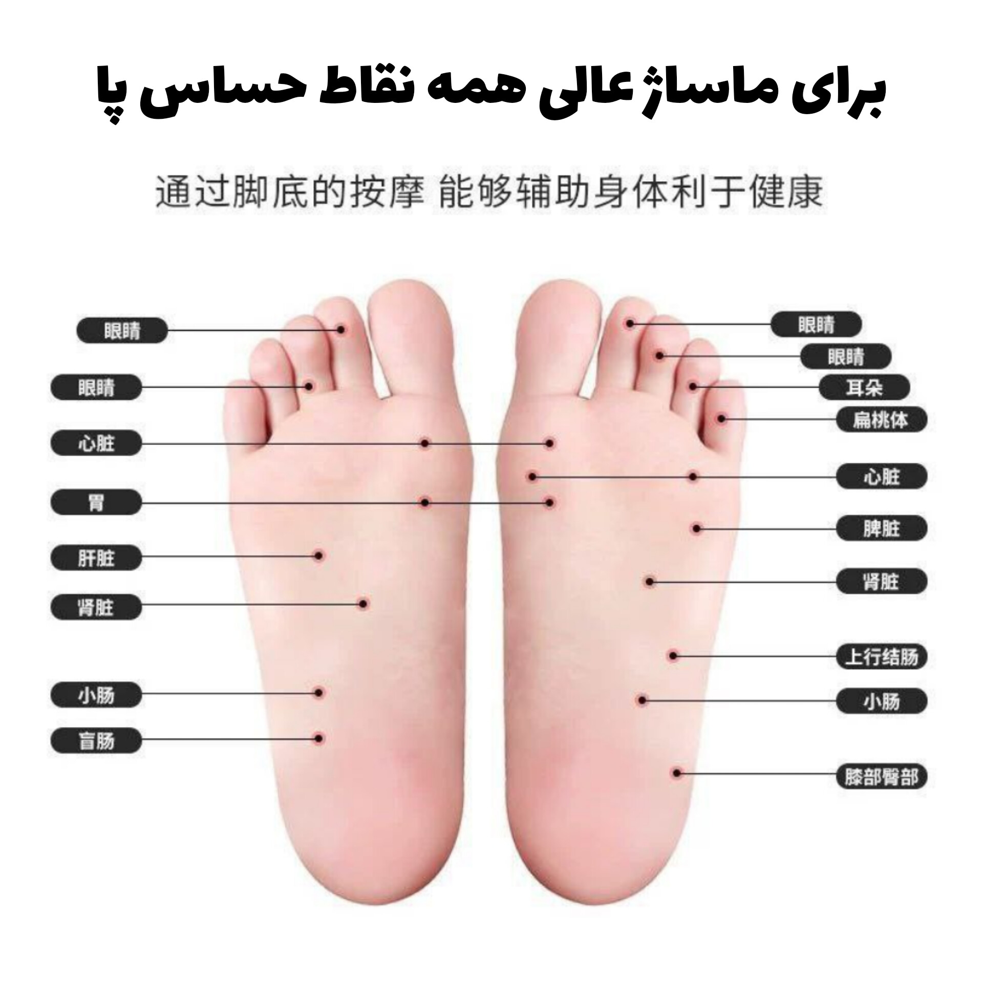 ماساژور پا؛ انتخابی متناسب با مراقبت و زیبایی روزمره در گروه محصول زیبایی؛ نمای شماره 6