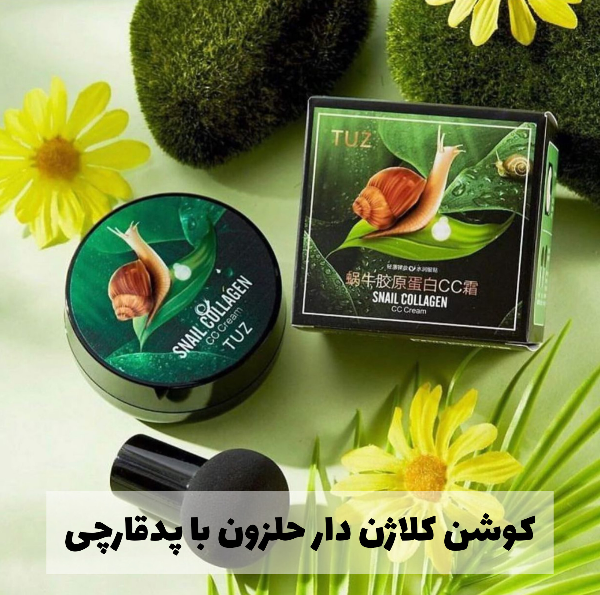 کوشن کلاژن دار حلزون با پدقارچی TUZ؛ انتخابی متناسب با مراقبت و زیبایی روزمره در گروه کوشن