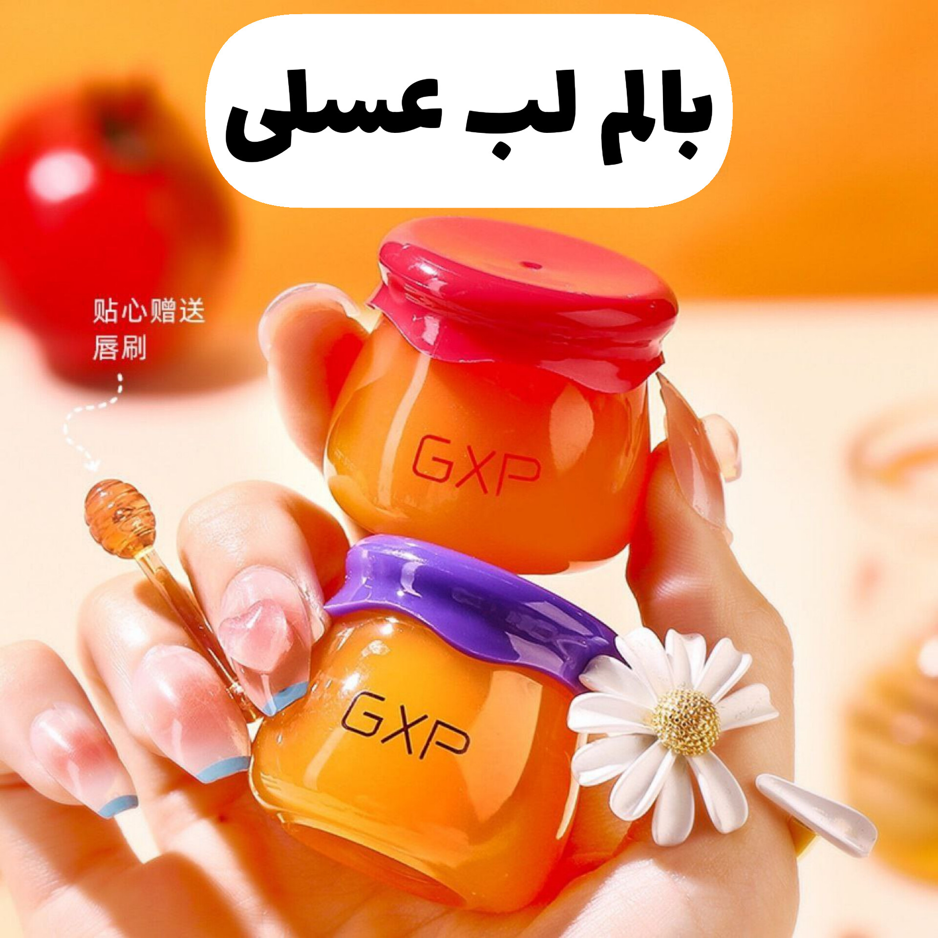 بالم لب عسلی با معرفی دقیق ویژگی‌ها و کاربرد در گروه بالم لب