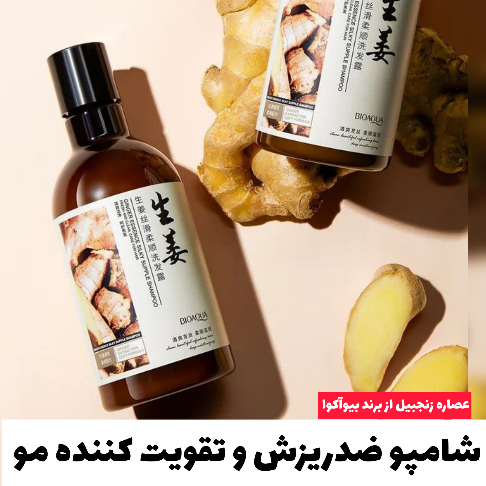 شامپو تقویتی و ضد ریزش زنجبیل بیوآکوا Bioaqua با تمرکز بر استفاده آسان و نتیجه طبیعی در گروه شامپو