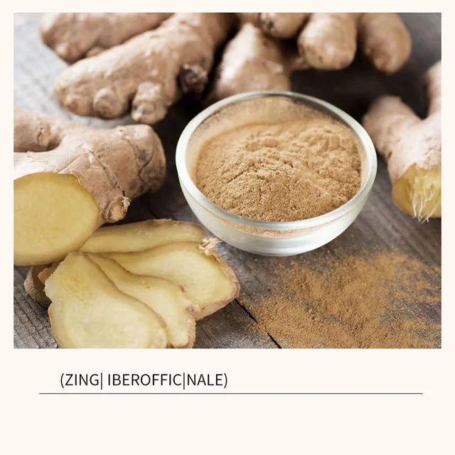 شامپو تقویتی و ضد ریزش زنجبیل بیوآکوا Bioaqua با تمرکز بر استفاده آسان و نتیجه طبیعی در گروه شامپو؛ نمای شماره 2