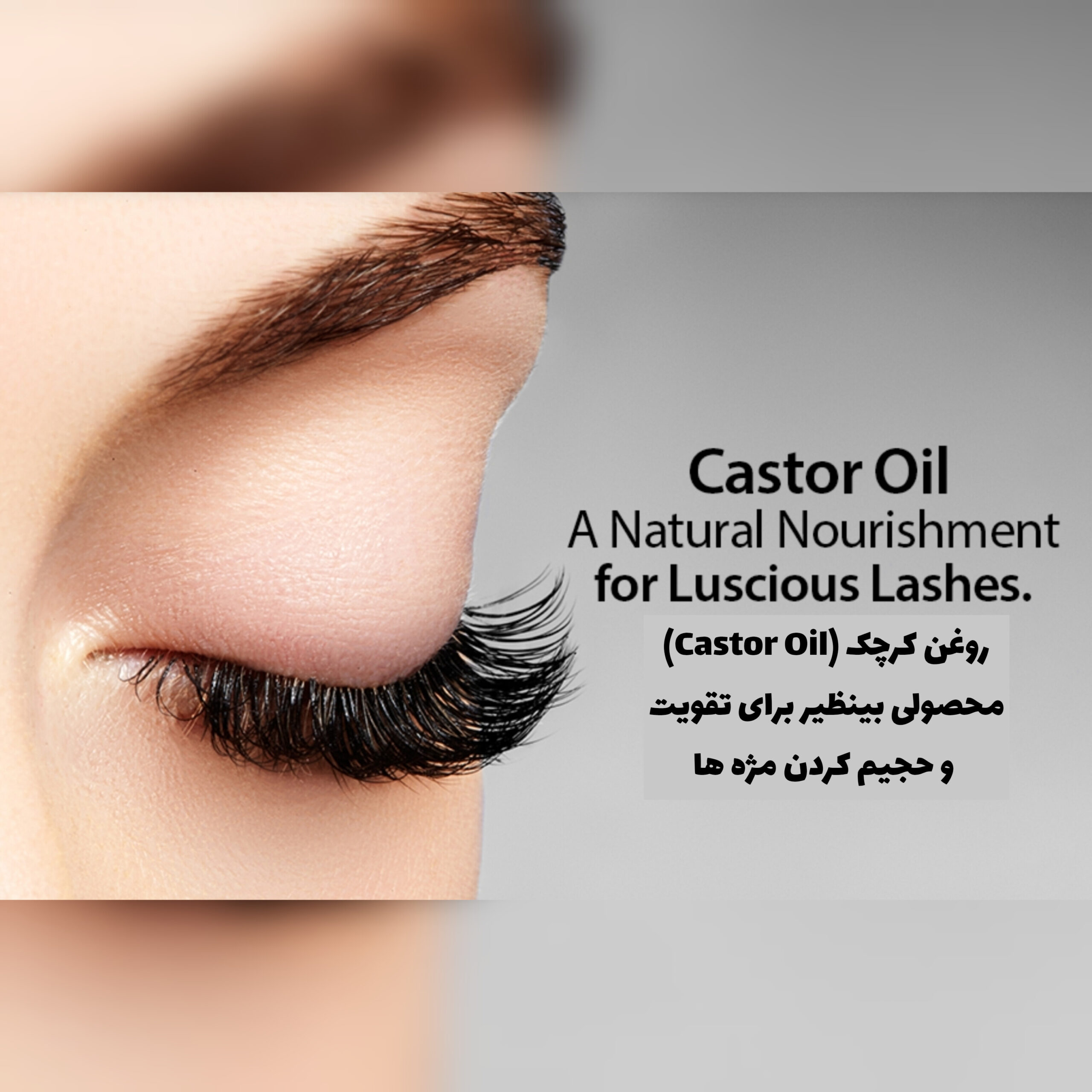 سرم تقویت کننده و بلند کننده مژه Castor oil؛ انتخابی متناسب با مراقبت و زیبایی روزمره در گروه آرایش صورت؛ نمای شماره 2